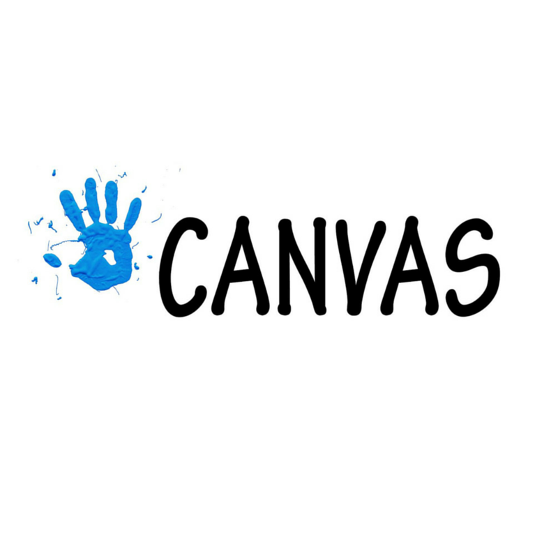 Interview with Ayla Lefkowitz of CANVAS Arts Action Programs